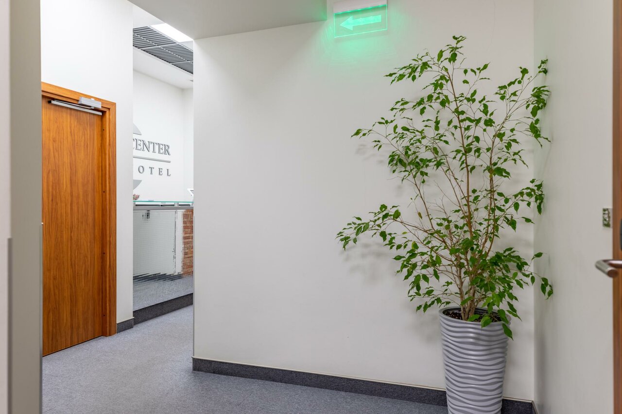 Гостиница Центр Отель Санкт-Петербург-13