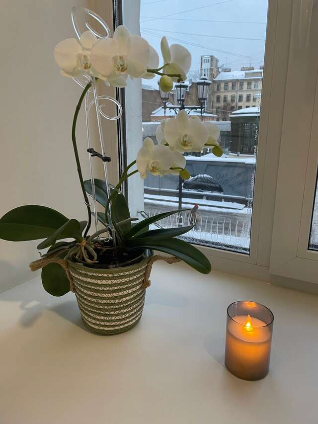 Гостиница Центр Отель Санкт-Петербург-50